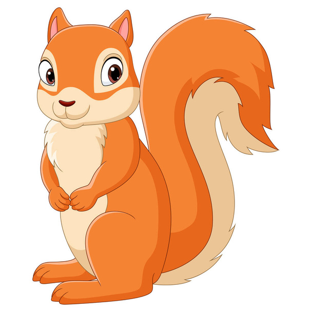 Vector illustration of Cartoon happy squirrel isolated on white background - Vektor, Bild