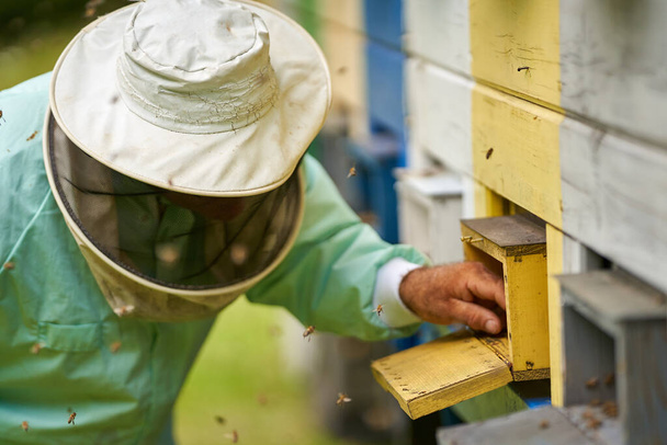 Μελισσοκόμος σε συνολικά προστατευτικό εξοπλισμό ελέγχου των κυψελών στο φορτηγό του - Φωτογραφία, εικόνα