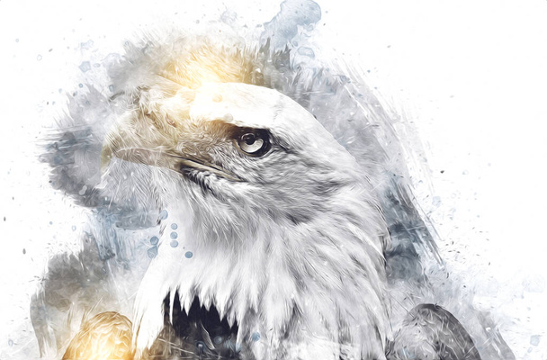 Weißkopfseeadler schwingen Landung Hand zeichnen und malen auf weißem Hintergrund Illustration - Foto, Bild