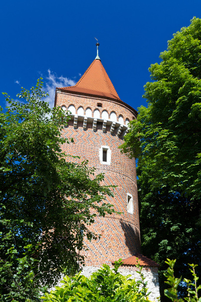 ポーランドのクラクフの都市要塞の塔 - 写真・画像
