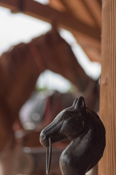 Cavalo Sorrel com a cabeça virada e uma figura de ferro que representa a cabeça de um cavalo na frente. Cavalos fora
 - Foto, Imagem