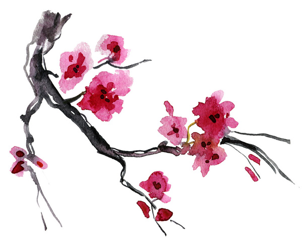 realistische sakura bloesem - Foto, afbeelding