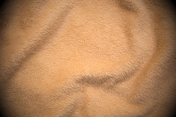 Biscuit kleur kort haar Gekreukte deken - Foto, afbeelding