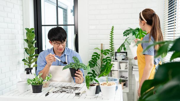 Ένα ευτυχισμένο ζευγάρι της Ασίας που φροντίζει και κηπουρική για τα φυτά που περνούν χρόνο μαζί, Houseplants, πράσινο και φροντίδα έννοια - Φωτογραφία, εικόνα