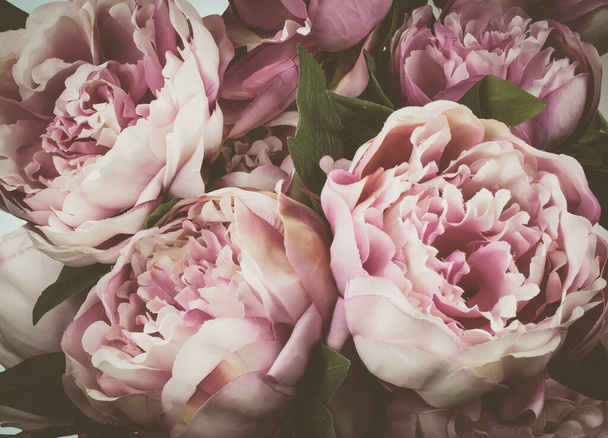Fond de fleurs pivoine vintage. - Photo, image