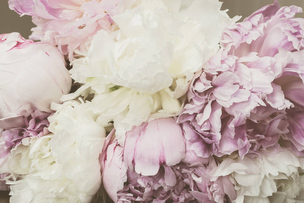 Vintage concept with Peonies. Filtered image with pastel colored flowers in retro style. - Foto, Imagem