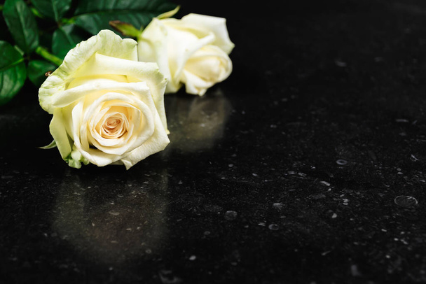 Együttérzés vagy részvétnyilvánítás virágkártya helyet a szöveges. Fehér friss rózsa elszigetelt fekete kő textúra háttér. - Fotó, kép