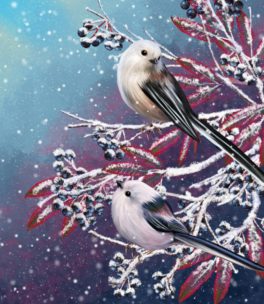 Winter Christmas background, two white little tit birds sit on a snowy branch, snowfall, clusters of berries, evening lighting. - Fotó, kép
