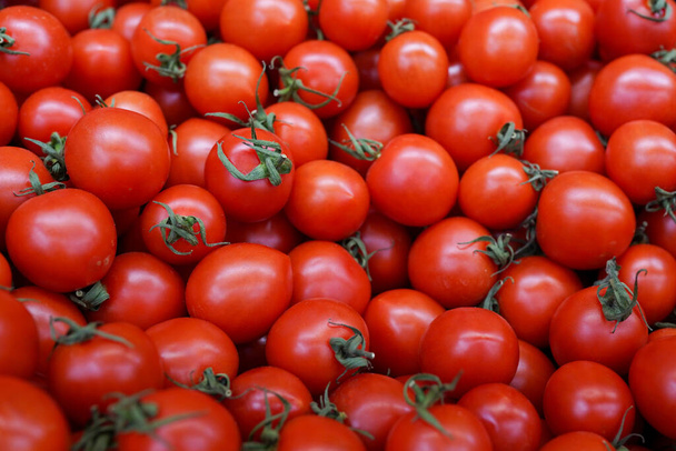 tomates frescos para venda no mercado
 - Foto, Imagem