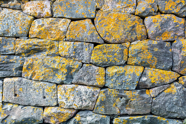 Oude grijze muur van stenen blokken bedekt met geel korstmos. Achtergrond textuur close-up. - Foto, afbeelding
