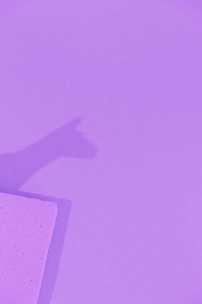 ラマの影。ミニマルな静物画。モノクロームの流行色。紫の美 - 写真・画像