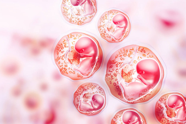 Ludzki płód na tle naukowym. Ilustracja 3D - Zdjęcie, obraz