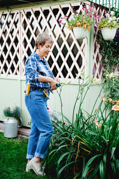 aged woman retired gardener in blue jeans and a checkered shirt courting flowers cutting them with a trimmer in their suburban fragrant countryside - Photo, Image