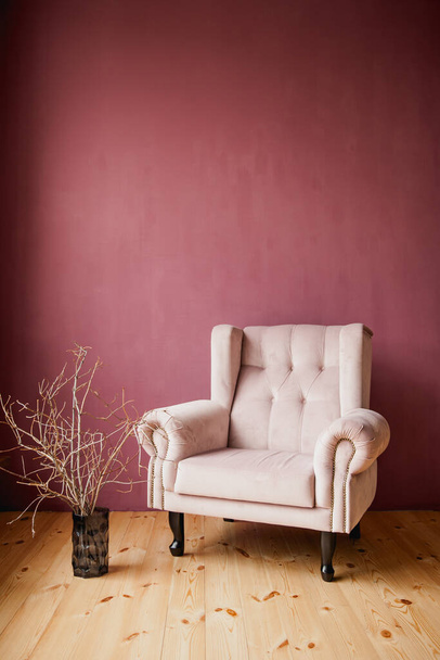 sillón suave en estudio y plantas secas - Foto, imagen