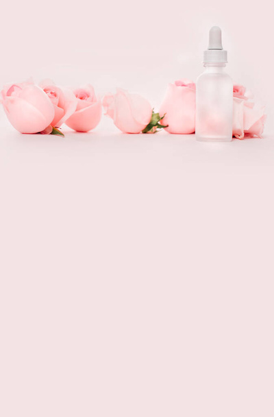 Güzel çiçek kompozisyonu pembe güller ve bebek şişesi üst görünümü, kopya uzay konsepti arka plan - Fotoğraf, Görsel