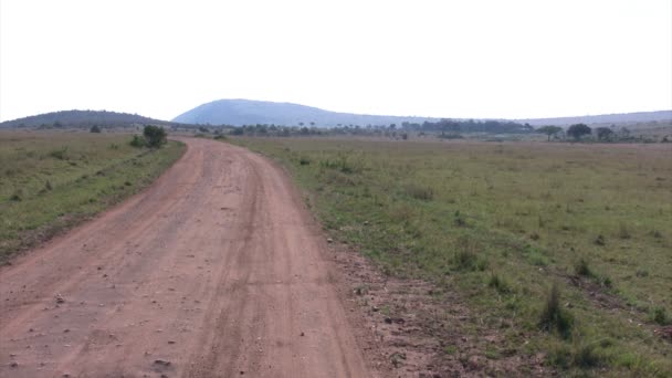 Masai Mara Tájkép, Kenya - Felvétel, videó