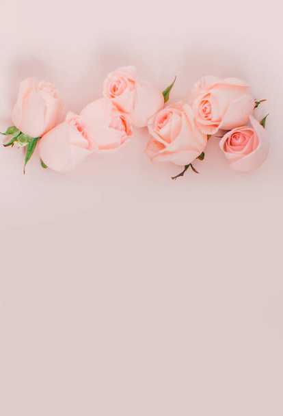 set of bright rose flowers buds on pink background with free space  - Fotografie, Obrázek