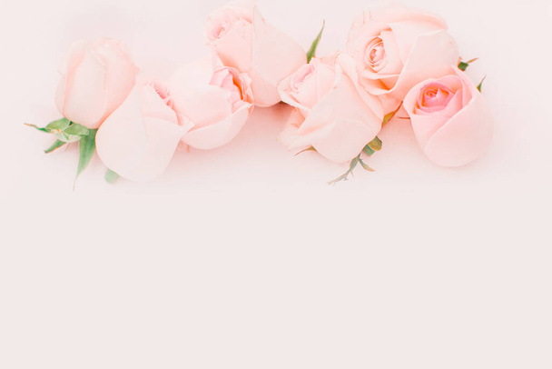 set of bright rose flowers buds on pink background with free space  - Foto, Imagem
