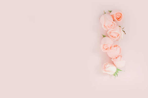set di boccioli di fiori rosa vivaci su sfondo rosa con spazio libero  - Foto, immagini