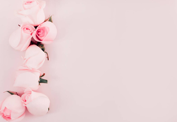 készlet gyönyörű rózsa virágok elszigetelt rózsaszín háttér, szabad hely a szöveg - Fotó, kép