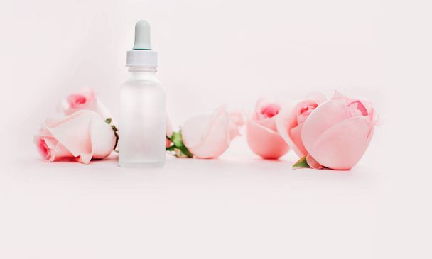 pink rose flowers with baby bottle, copy space concept background - Fotó, kép