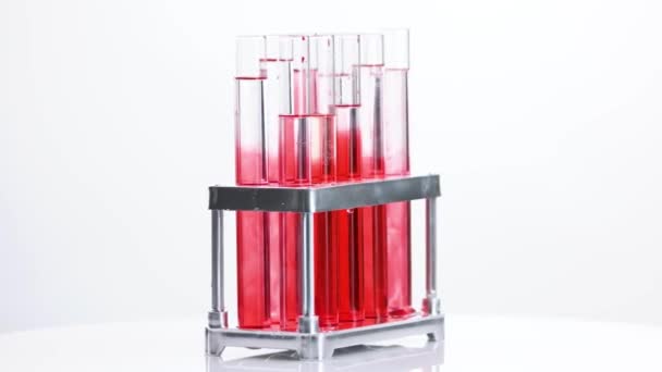 Test tubes with blood samples in holder. - Footage, Video