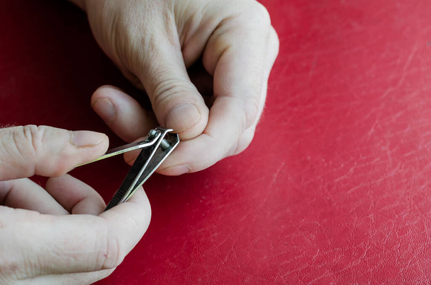 Middle-aged Caucasian man cuts his own nails. Nail clippers in male hands on a red table. Health and hygiene. Close-up. - 写真・画像