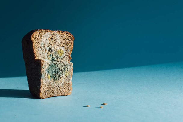 Mold on bread, a piece of rye bread with white and green mold. Best before date has expired a long time ago with this mouldy food. - Photo, Image