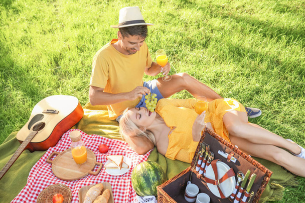 Szczęśliwa młoda para na pikniku w parku - Zdjęcie, obraz