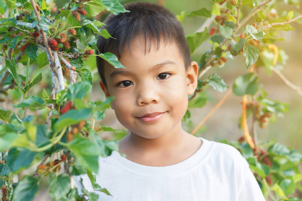 Retrato de imagen de niño de 6 años. Cara sonriente de niño asiático feliz con fondo de morera. Temporada de verano o primavera. - Foto, Imagen