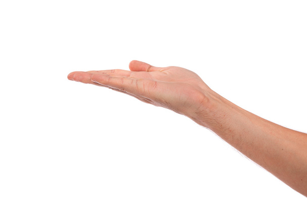 Open palm hand gesture of male hand - Fotografie, Obrázek