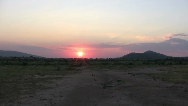 Masai Mara Landschaft, Kenia - Filmmaterial, Video