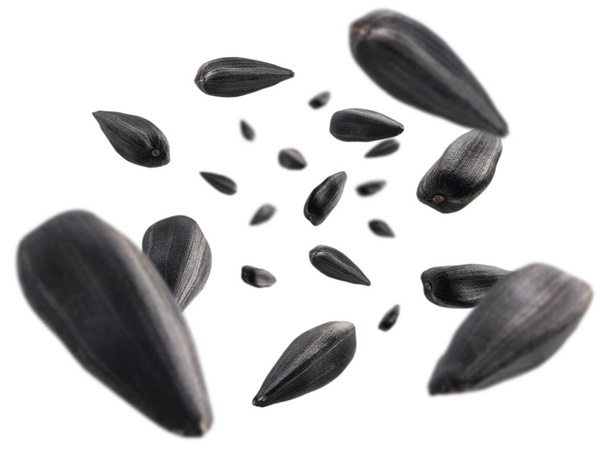 Семена подсолнуха левитируют на белом фоне - Фото, изображение