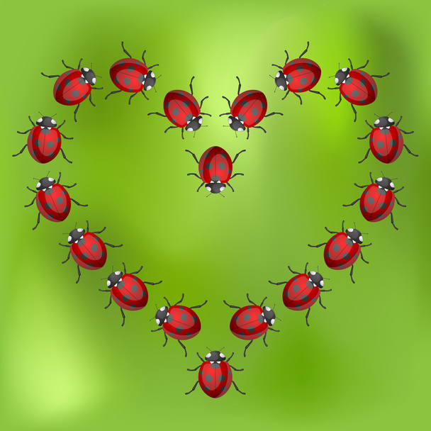 Corazón de mariquita
 - Vector, imagen