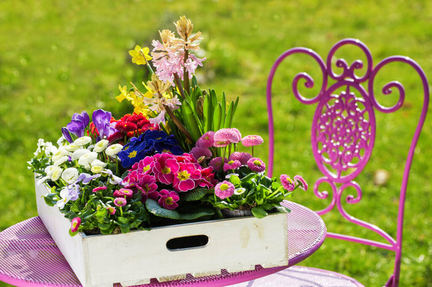 Весенние цветы в деревянной коробке - Фото, изображение