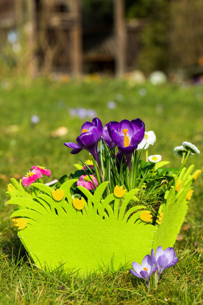 Easter basket with spring flowers - Photo, Image