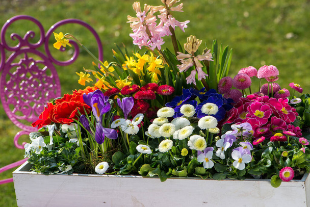 Flores de primavera en caja de madera - Foto, Imagen