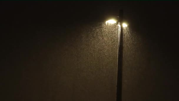 lamppost στο χιονοθύελλα - Πλάνα, βίντεο