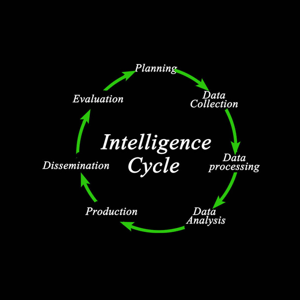  Ciclo de Inteligencia: De la planificación a la difusión - Foto, Imagen