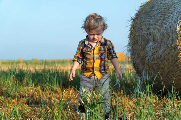 Little fair-haired boy playing with a kitten on a wheat field with bales - Photo, image