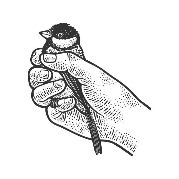 tit bird in hand sketch engraving vector illustration. T-shirt apparel print design. Scratch board imitation. Black and white hand drawn image. - Vektor, obrázek