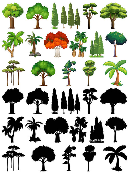 Conjunto de planta e árvore com sua silhueta ilustração - Vetor, Imagem