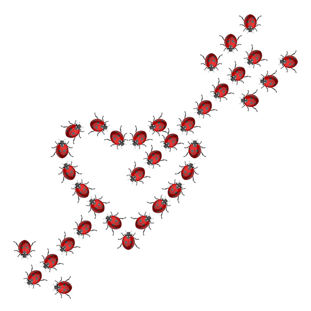 Corazón de mariquita
 - Vector, imagen