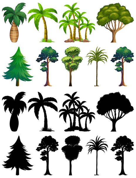 Set planten en bomen met silhouet illustratie - Vector, afbeelding