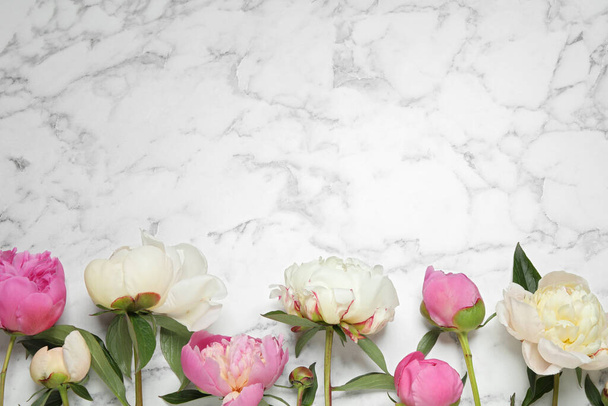 Beautiful peonies on white marble background, flat lay. Space for text - 写真・画像