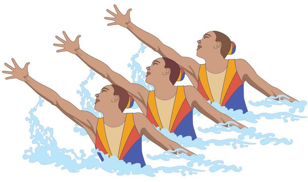 synchronized swimmers, trio in pose splashing out of water isolated on a white background - Vector, Image
