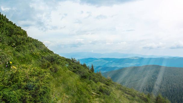 Montañas Cárpatas. Panorama de verdes colinas en las montañas de verano. Bosque de montaña verde brumoso bajo cielo azul. - Foto, Imagen
