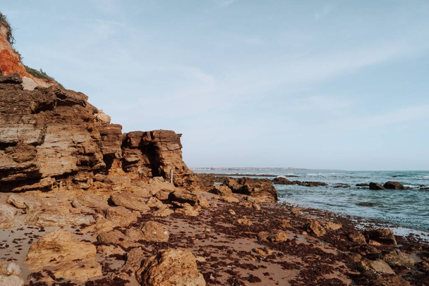 A closeup shot of cliffs on a wild beach - Фото, зображення