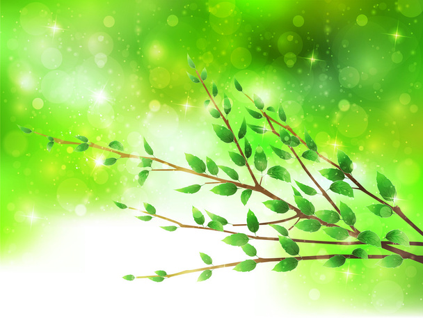 Plant leaf background - Vector, afbeelding