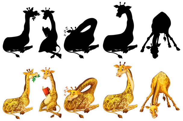 Ensemble de girafe et son illustration de silhouette - Vecteur, image